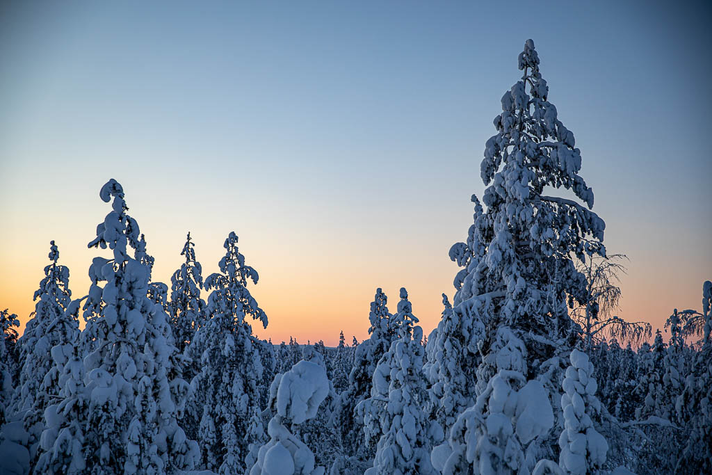 Abstract Patterns - Finding art in details. Photo by Marcio Parente