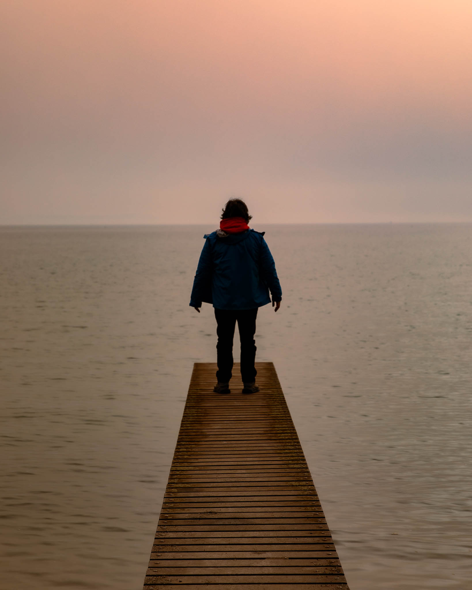 Wildlife Encounter - Nature's creatures in habitat. Photo by Marcio Parente