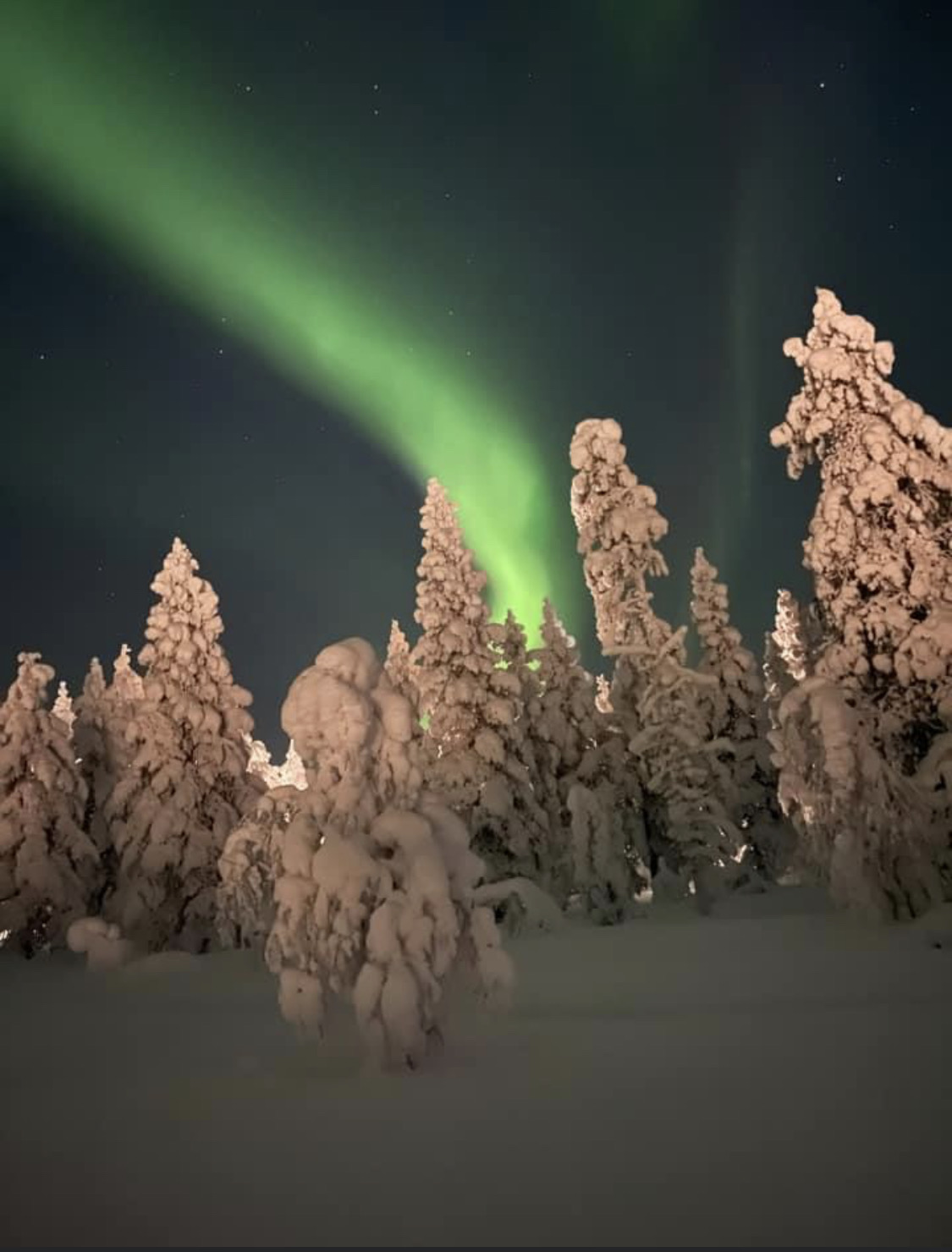First Light - Dawn's promise. Photo by Marcio Parente