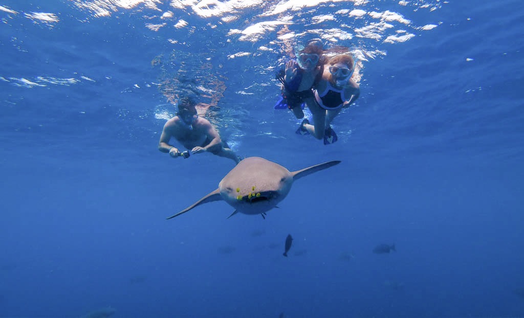 Unexpected Beauty - Art in the everyday. Photo by Marcio Parente