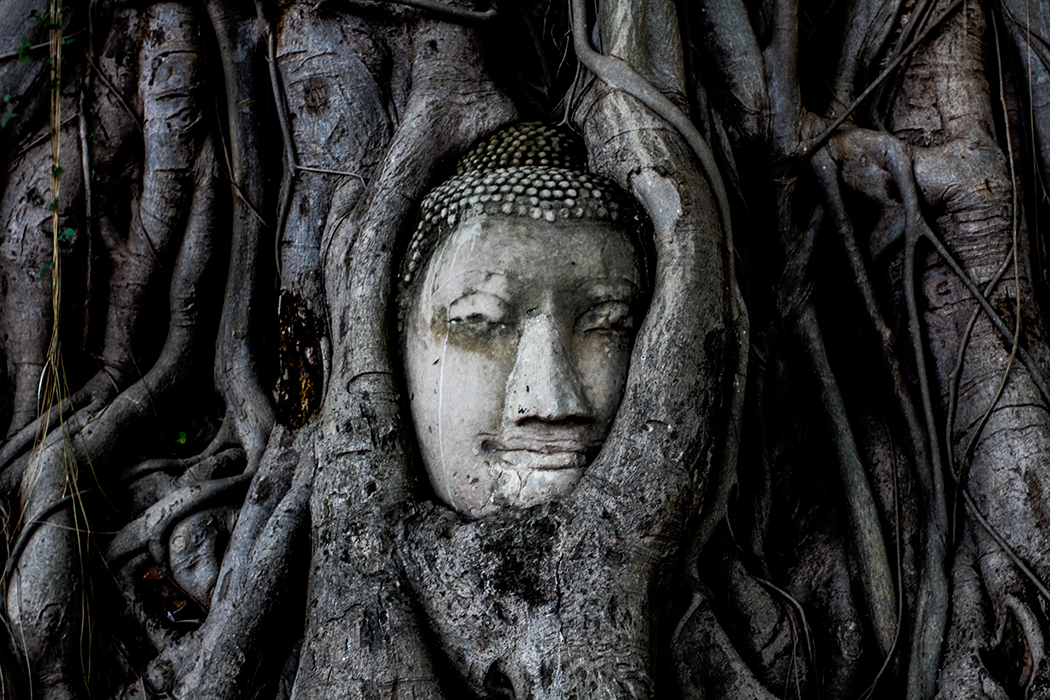 Industrial Heritage - Factory spaces reimagined. Photo by Marcio Parente