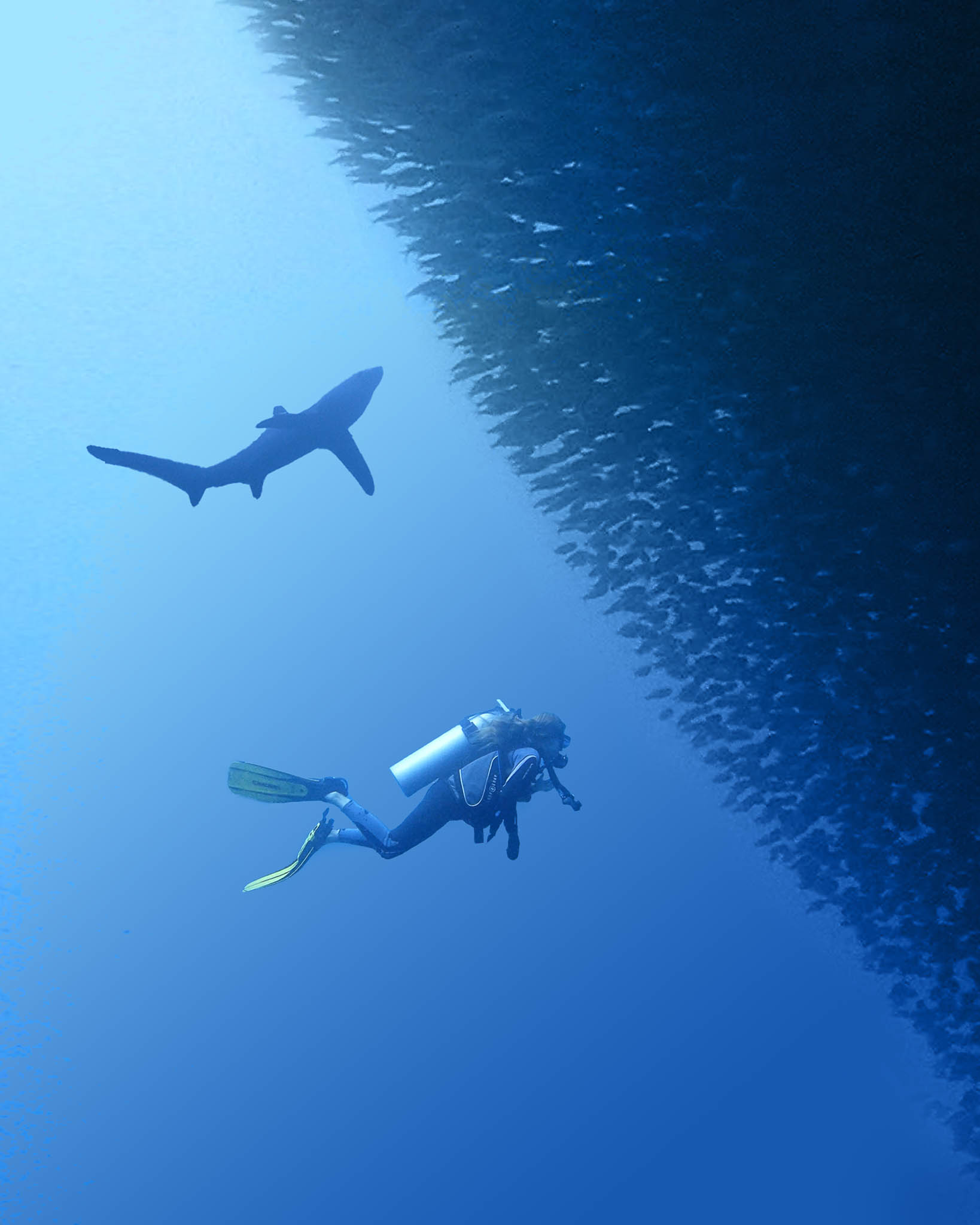 Olympus Days - Evolution of vision. Photo by Marcio Parente