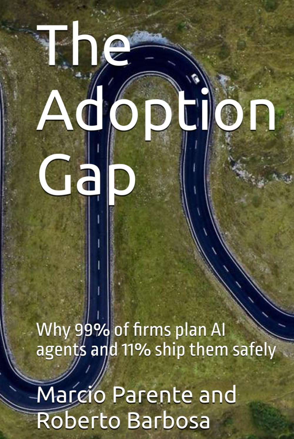 Vol I — The Adoption Gap cover
